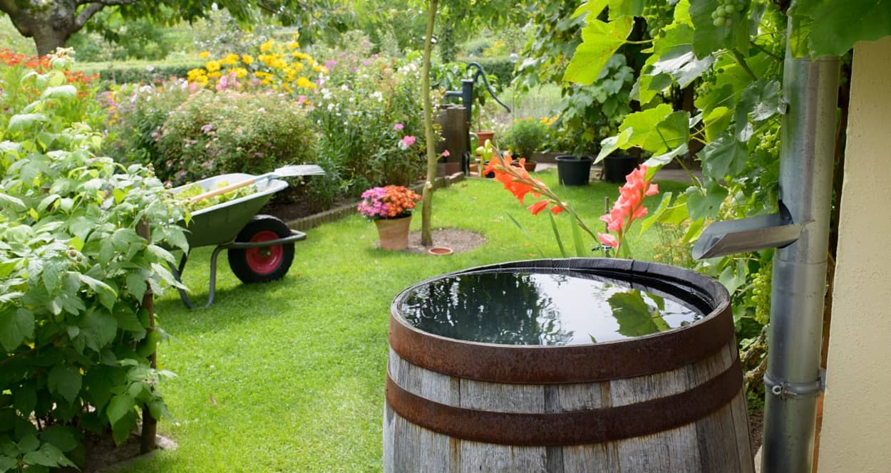 Umweltschutz im Garten: z.B. Regenwasser zum Gießen nutzen