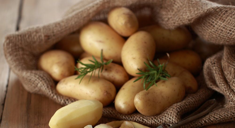 Frühkartoffeln vorkeimen - Warum? Zeitpunkt