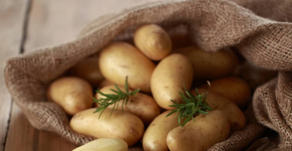Kartoffeln vorkeimen
