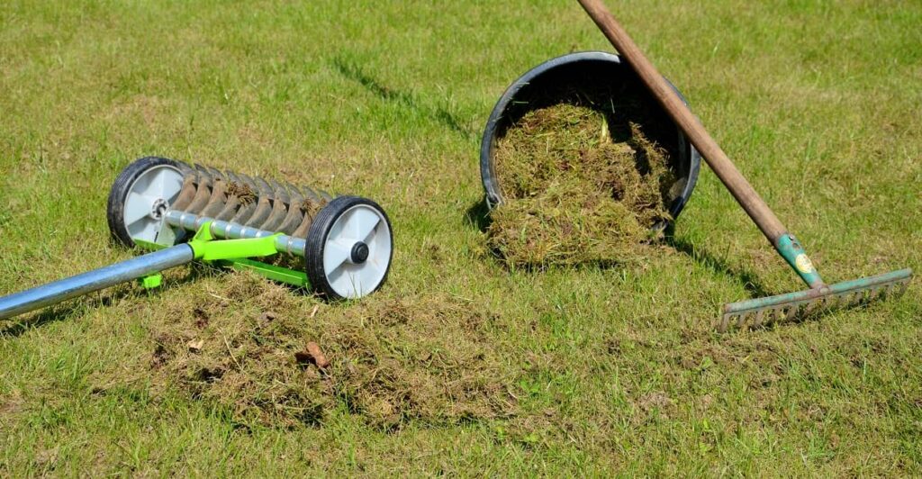 Werkzeug zum Moos aus dem Rasen entfernen